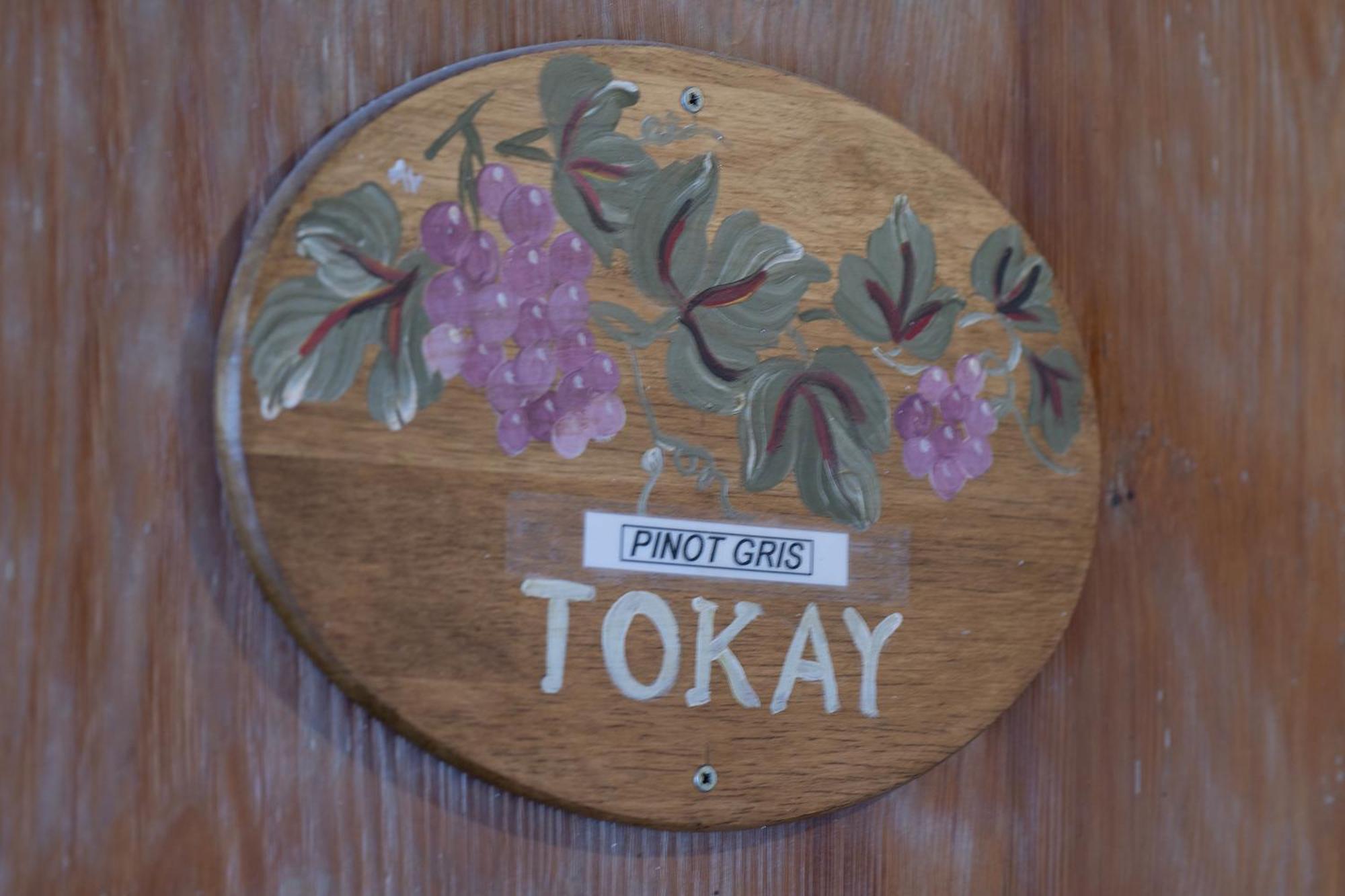 Pinot Gris - Charmant Studio Au Coeur Du Vignoble - Parking Gratuit ريكفيهر المظهر الخارجي الصورة